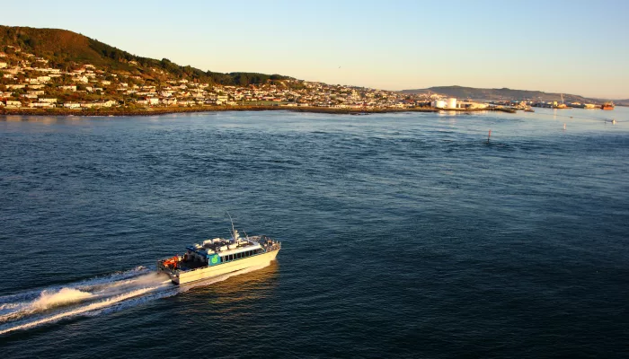 Ferry departing Bluff for Oban Harbour on Stewart Island, New Zealand