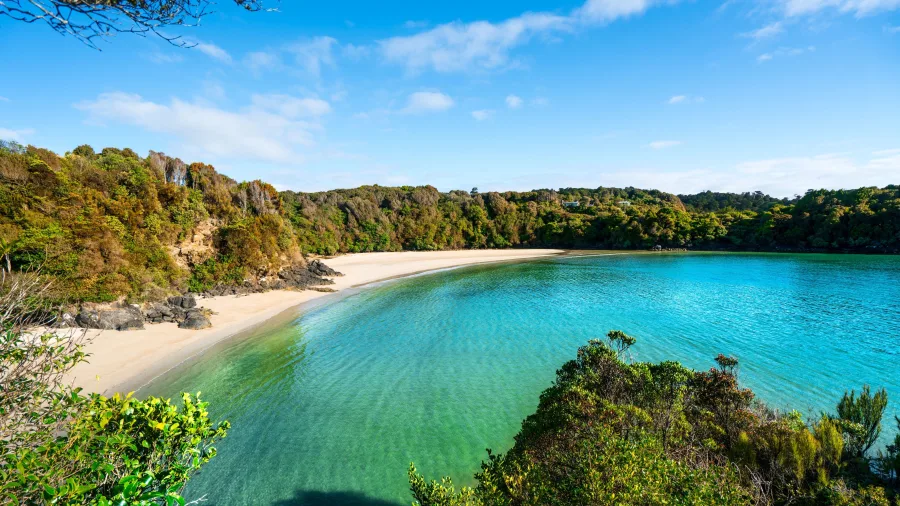 Pristine turquoise waters at Bathing Beach, Stewart Island Rakiura