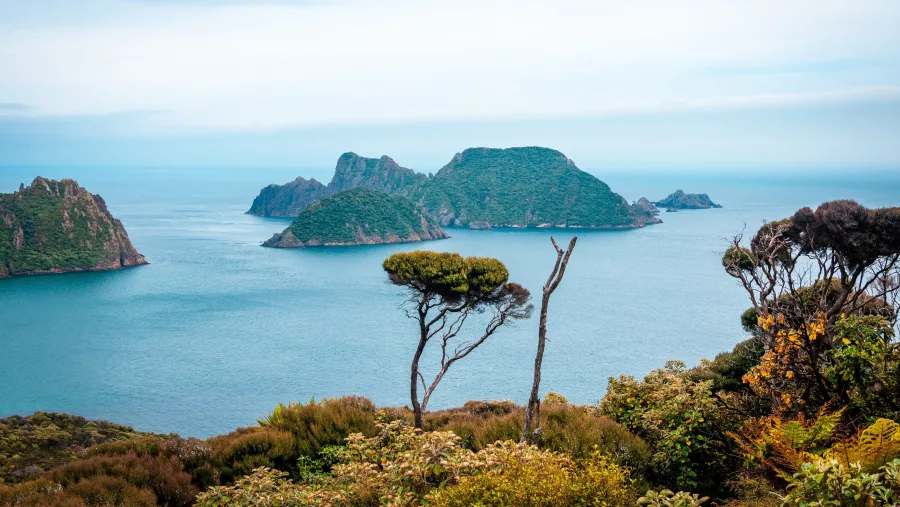 Rugged coastline and offshore islands in Rakiura National Park, Stewart Island