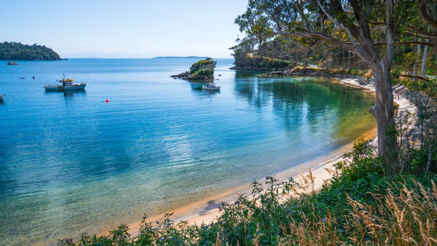 Lonnekers Beach with calm turquoise waters, Stewart Island Rakiura
