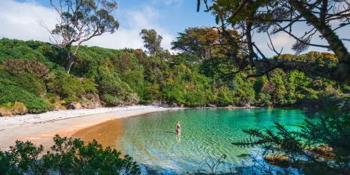 Person swimming in turquoise waters at Bathing Beach, Stewart Island