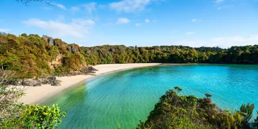 Pristine turquoise waters at Bathing Beach, Stewart Island Rakiura