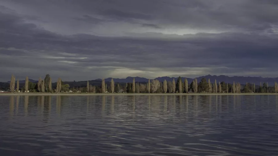 Poplar trees lining Lake Te Anau in Southland New Zealand