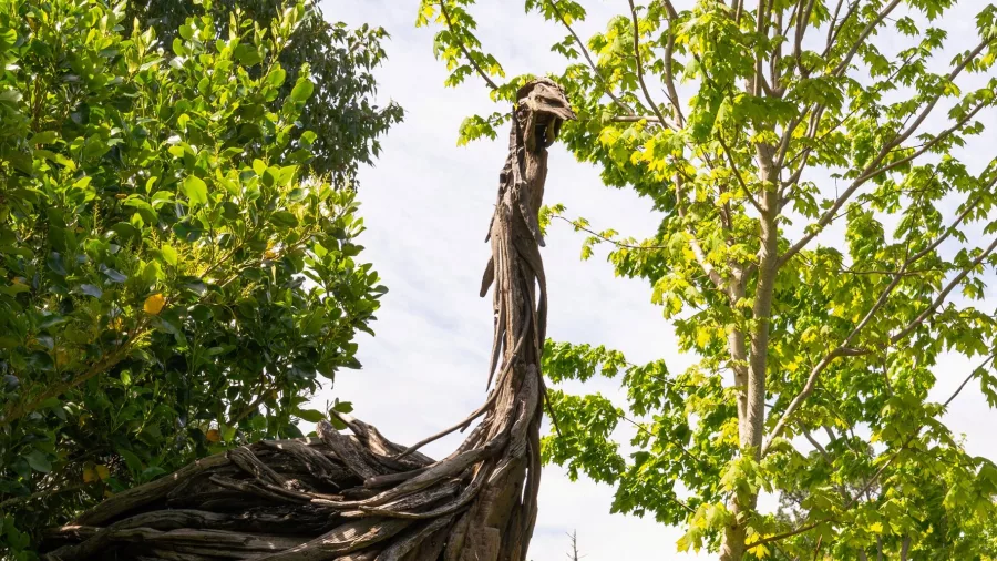 Couple admiring a large moa bird sculpture in Waiongana Garden during the Taranaki Garden Festival