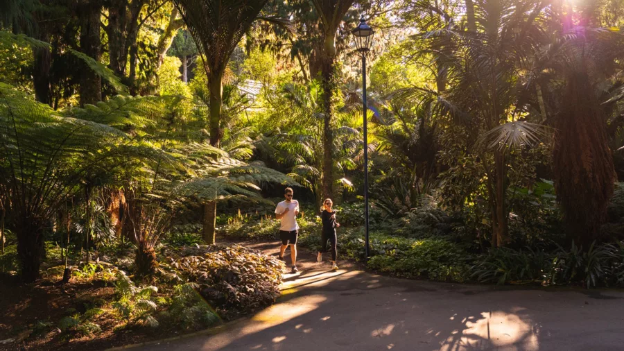 Couple jogging through lush greenery in sun-dappled Pukekura Park