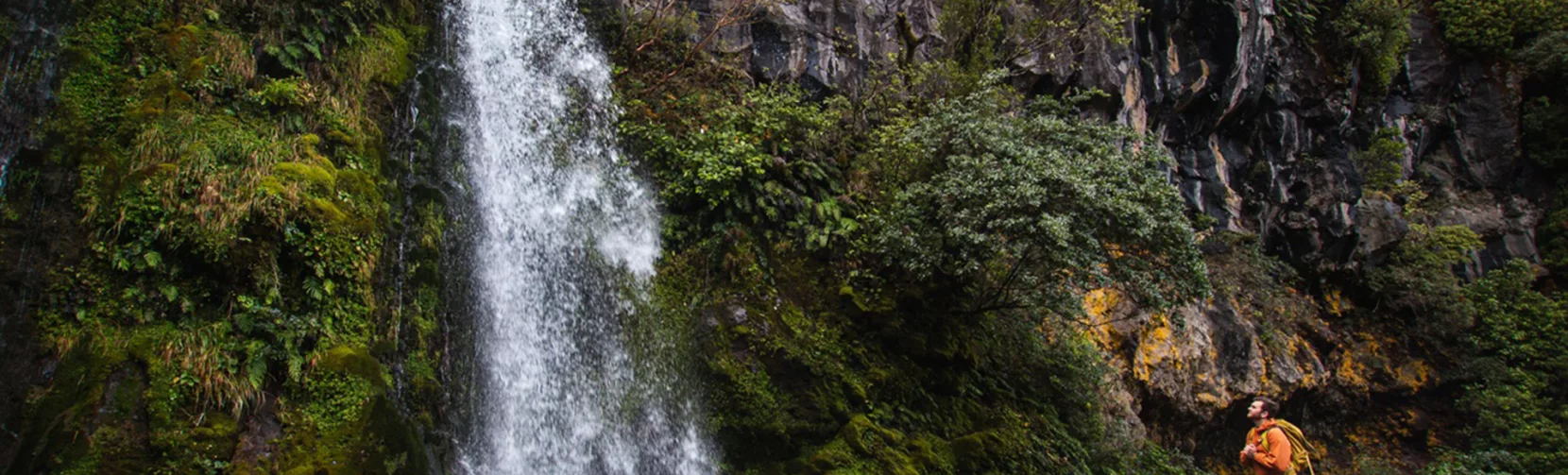 Hiker standing near Dawson Falls waterfall in Egmont National Park