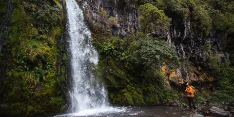 Hiker standing near Dawson Falls waterfall in Egmont National Park
