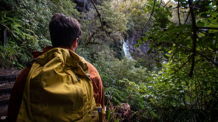 Hiker looking toward Dawson Falls through native forest in Egmont National Park