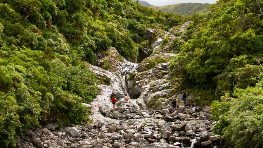 Visitors exploring Wilkies Pools among rock formations and greenery in Egmont National Park