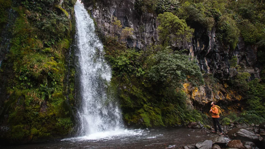 Hiker standing near Dawson Falls waterfall in Egmont National Park