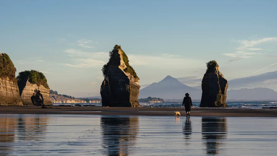 Person and dog walking near the Three Sisters sea stacks at Tongaporutu Beach with Mount Taranaki in view