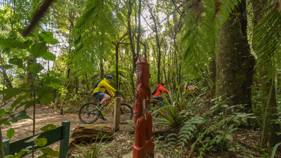 Cyclists pass a Māori carving along the Timber Trail surrounded by native ferns and dense forest