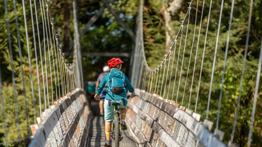 Cyclist crossing the swing bridge on the Tongariro River Trail near Turangi, surrounded by native bush