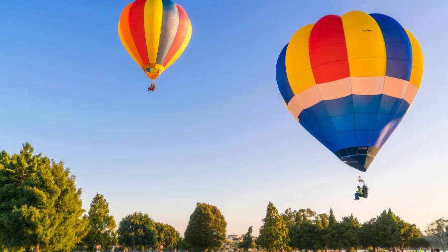 Hot air balloons floating during the festival in Waikato, Hamilton, New Zealand.