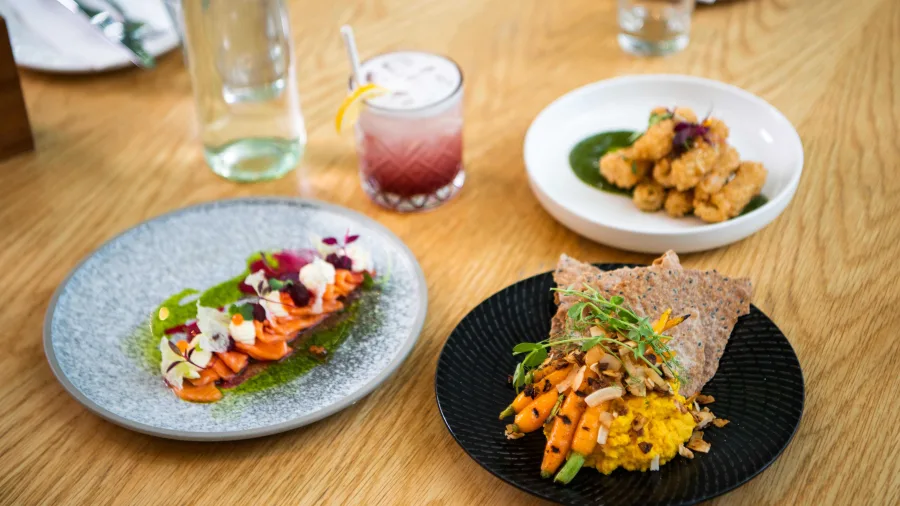 Dining experience in Hamilton, Waikato featuring gourmet dishes.