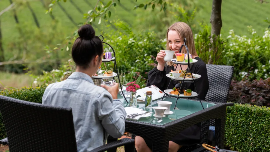 Two women enjoying high tea outdoors at Zealong Tea Estate in Hamilton, Waikato, New Zealand.