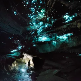 Photographer standing in an underground Waitomo cave illuminated by thousands of glow worms above.