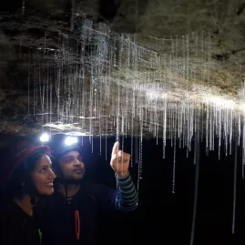 Close-up of glow worm silk threads hanging from a cave ceiling in Waitomo, with two visitors observing them by headlamp.