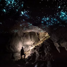 Silhouetted person standing beneath a star-like glow worm ceiling in a dark Waitomo cave.