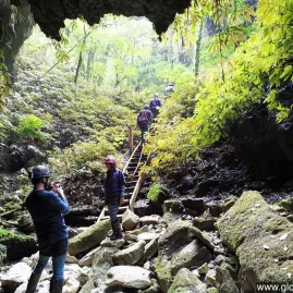 Group of visitors climbing a ladder into a limestone cave surrounded by native forest in Waitomo.