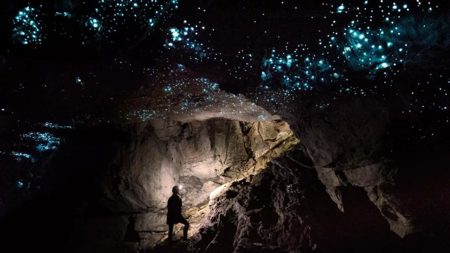 Silhouetted person standing beneath a star-like glow worm ceiling in a dark Waitomo cave.