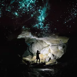 Photographer silhouetted under a glow worm-lit ceiling in a dark Waitomo cave, capturing the bioluminescent light.
