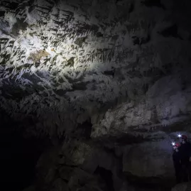 Two people with headlamps exploring deep inside a Waitomo cave, surrounded by jagged limestone formations.