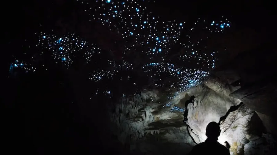 Silhouette of a person standing under glowworms inside a dark limestone cave on a Glowing Adventures photography tour in Waitomo