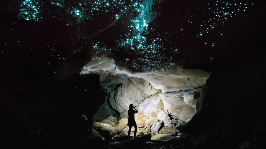 Photographer silhouetted under a glow worm-lit ceiling in a dark Waitomo cave, capturing the bioluminescent light.