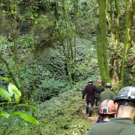 Group of guests walking a forest trail toward a cave entrance during a Glowing Adventures private tour in Waitomo