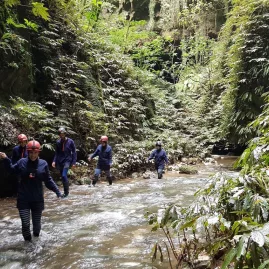 Guests on a guided stream walk through native forest during a Glowing Adventures private tour in Waitomo