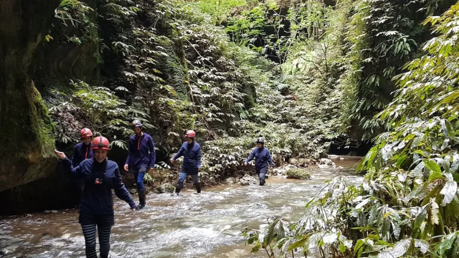 Guests on a guided stream walk through native forest during a Glowing Adventures private tour in Waitomo