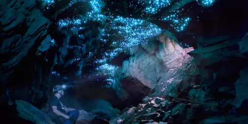 Guest wearing a headlamp sits beneath glowworms inside a limestone cave on a Glowing Adventures private tour in Waitomo