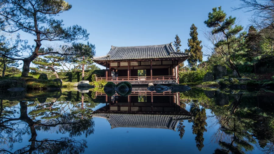 Traditional Japanese pavilion reflected in tranquil pond at the Garden of Contemplation, Hamilton Gardens New Zealand