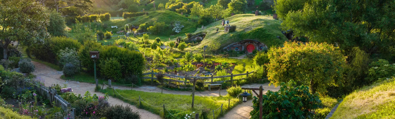 Golden hour light over winding garden paths, lush greenery and Hobbit holes at the Hobbiton Movie Set in Matamata