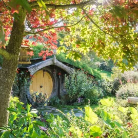 Charming hobbit house with a yellow door nestled beneath a tree in the lush landscape of Hobbiton Movie Set