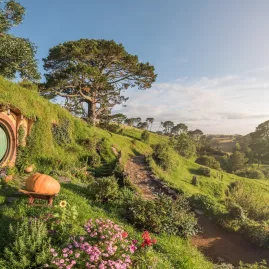 Hobbit holes on a grassy hillside path bathed in soft sunset light at the Hobbiton Movie Set in Waikato
