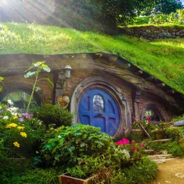 Hobbit hole with a blue door surrounded by wildflowers and greenery at Hobbiton Movie Set in bright sunshine