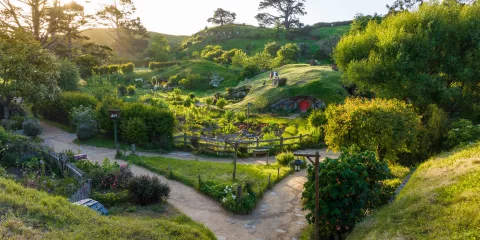 Golden hour light over winding garden paths, lush greenery and Hobbit holes at the Hobbiton Movie Set in Matamata