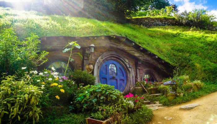 Hobbit hole with a blue door surrounded by wildflowers and greenery at Hobbiton Movie Set in bright sunshine