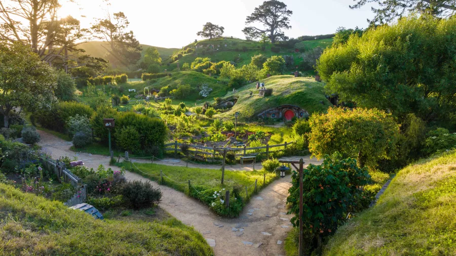 Golden hour light over winding garden paths, lush greenery and Hobbit holes at the Hobbiton Movie Set in Matamata