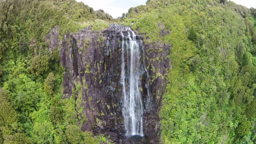 Aerial view of Wairere Falls cascading down a steep cliff face surrounded by dense green forest in the Kaimai Ranges, New Zealand