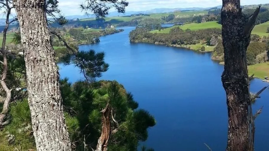 Scenic view of Lake Karapiro surrounded by green hills and forest from a lookout point