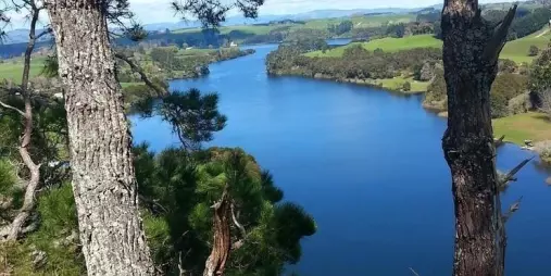 Scenic view of Lake Karapiro surrounded by green hills and forest from a lookout point