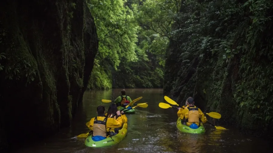 Guided kayak tour through a lush green canyon with Riverside Adventures