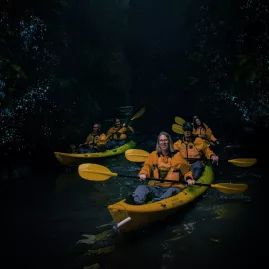 Group kayaking through glowworm-lit canyon on a Full Day Private Adventure with Riverside Adventures