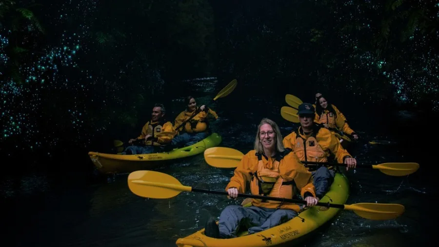 Group kayaking through glowworm-lit canyon on a Full Day Private Adventure with Riverside Adventures
