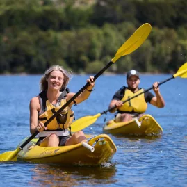 Two people kayaking solo across a scenic river in Waikato on a sunny day
