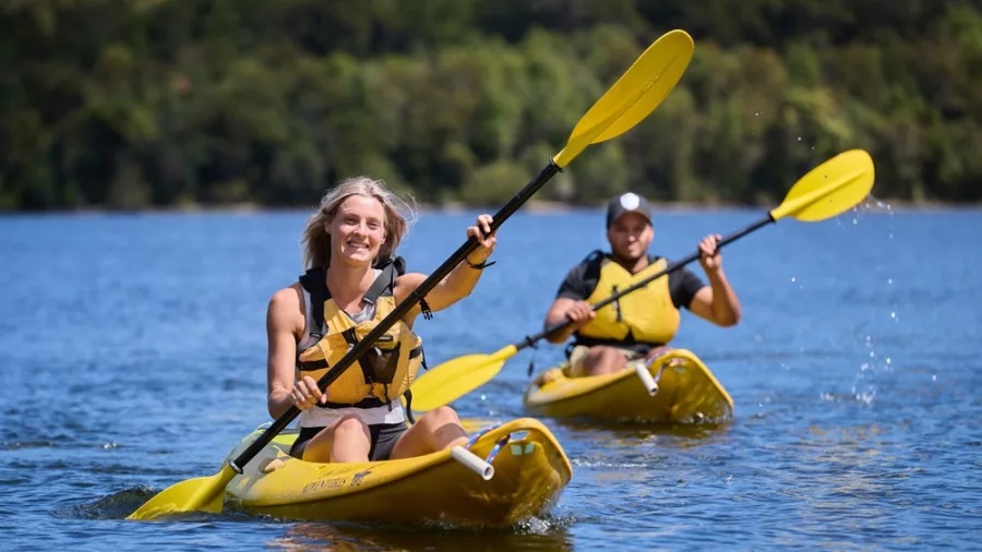 Two people kayaking solo across a scenic river in Waikato on a sunny day