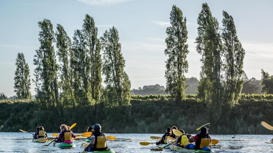 Group of kayakers paddling along the Waikato River during a scenic outdoor tour